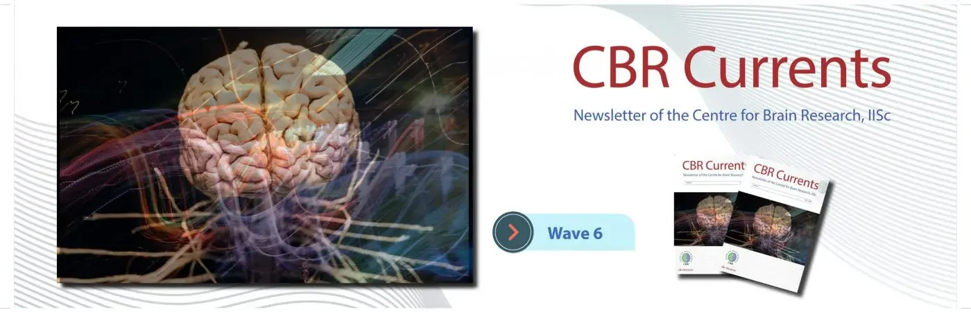 Banner_homepage_CBR-Currents-Wave-6-1-scaled-1400x450